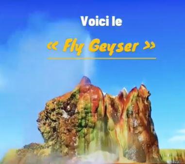 Veedz-fly-glaser-facebook