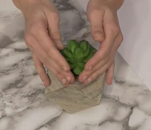 Veedz-jardiniere-diy