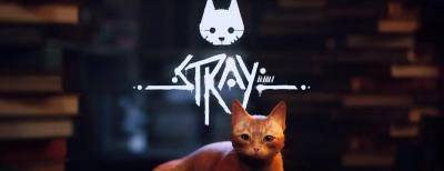 Capture du jeu « Stray »