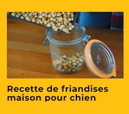 Recette de friandises maison pour chien