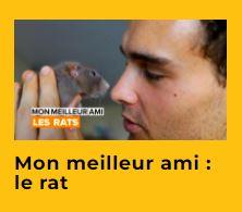 un-homme-face-à-un-rat