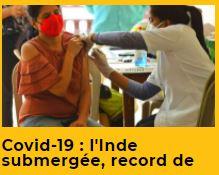 Veedz-inde-covid-19-international