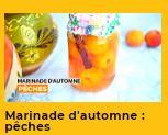 Veedz recette marinade