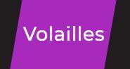 Veedz recettes volailles 1