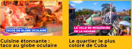 Veedz-tendance-video