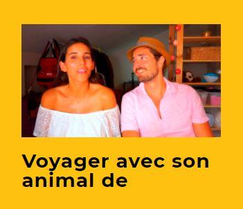 Veedz voyager animal de compagne